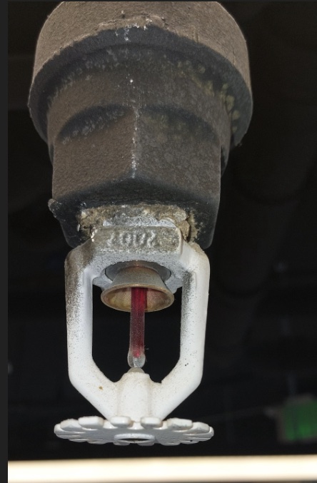 Fire Sprinkler Repair in Laurel Heights, San Francisco